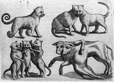 Different types of monsters: cats and cows with multiple bodies. Engraving from 