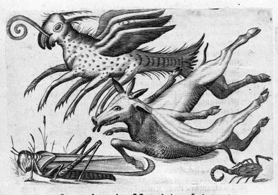 Different types of monstrous animals. Engraving from 