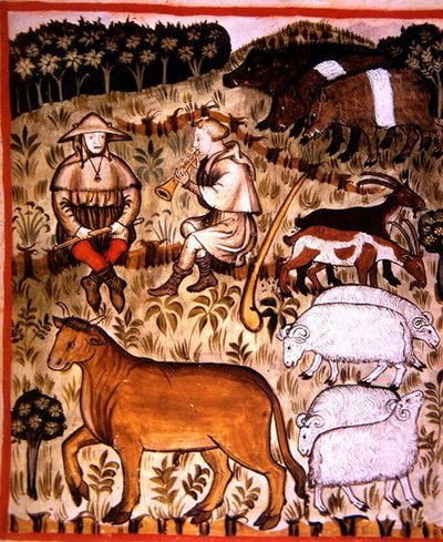 Castrated Animals, illustration from 
