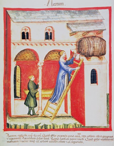 Vinegar (illustration from Tacuinum Sanitatis Codex Vindobonensis) by Italian School