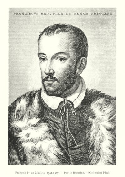 Francois I de Medicis by Italian School