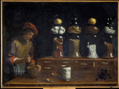 Herbalist in His Workshop in the 17th Century by Italian School