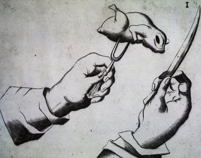 How to chop bird, Illustration from Li tre trattati di messer Mattia Giegher bavaro di Mosburc, Trinciante dell