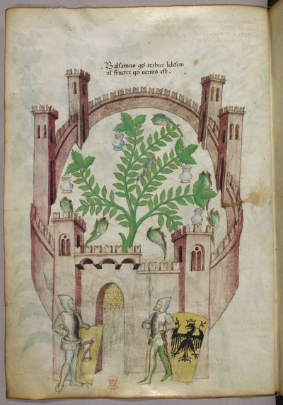 Illustration of the balsam garden of Cairo, with seven pools of water and jars to catch the balsam, a plant in the centre, with two knights in armour flanking the gate, c.1440 by Italian School