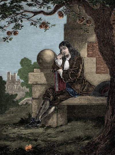 Isaac Newton Observing an Apple Fall to the Ground While Seated Beneath a Tree by Italian School