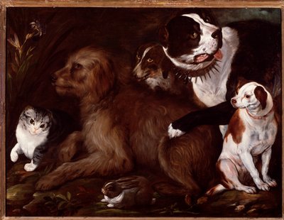 Medici Dogs, with a Cat and a Rabbit from the Italian School by Italian School