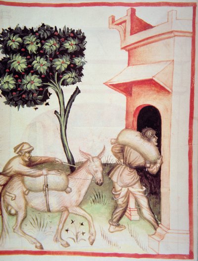 Olive oil: transporting the olives, from Tacuinum Sanitatis by Italian School