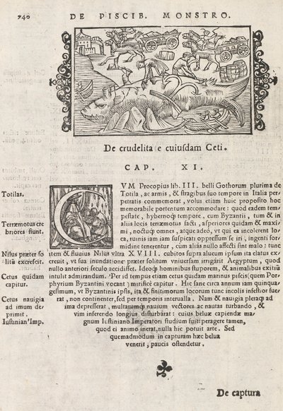 Page 740 from Historia De Gentivus Septentrionalibus by Magnus Olaus, Rome 1565 by Italian School