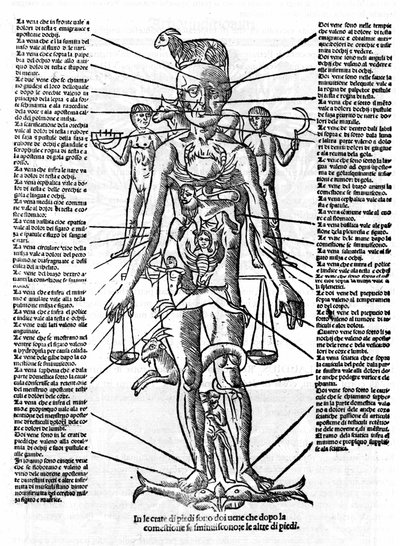 Plate representing a human body with the position of all organs and the zodiacal signs corresponding to them by their astrological influences. Plate drawn from 