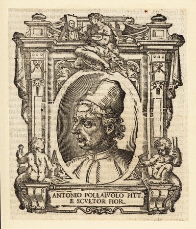 Portrait of Antonio del Pollaiuolo by Italian School