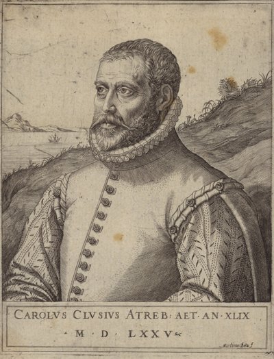 Portrait of Carolus Clusius by Italian School