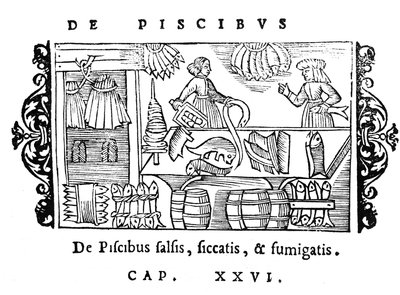 Salting, drying and smoking fish, illustration from Historia de Gentibus Septentrionalibus by Olaus Magnus, published in Rome, 1555 by Italian School