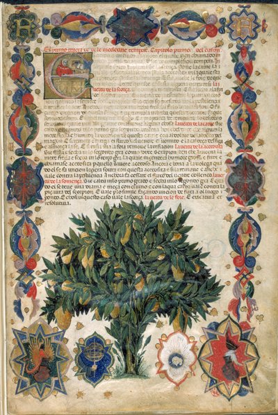 Text page with ornamental borders, illustration from 