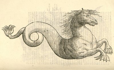 Illustration of Equus marinus monstrosus from Aldrovandi