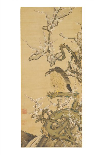Hawk on a Blossoming Plum Branch by Ito Jakuchu