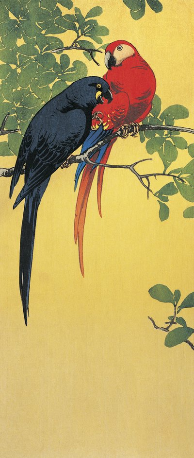 Close-up of Two Parrots Perching on a Branch by Ito Sozan
