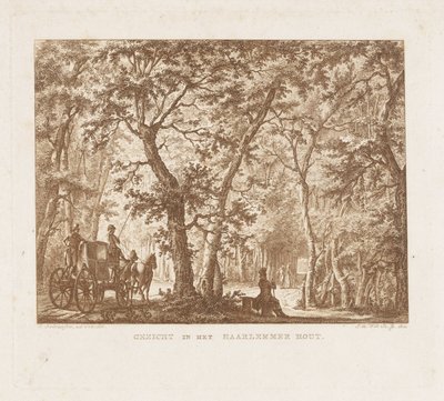 Carriage and Walkers in the Haarlemmerhout View in the Haarlemmer Hout (title on object) by Izaak Jansz. de Wit