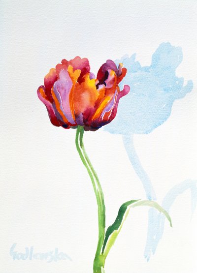 Tulip, 1998 by Izabella Godlewska de Aranda