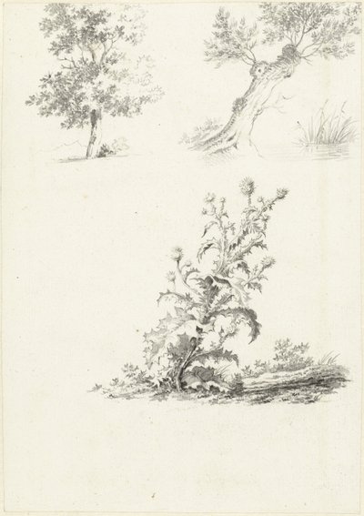 Two Studies of a Tree and a Thistle by J.B. Joss (attributed to)