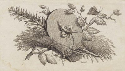 A Circular Inclined Disc Among Leaves and Insects by J.F. Clemens