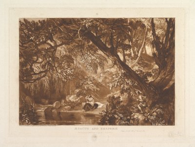 Aesacus and Hesperie, Vide Ovid Metamorphosis, Book XI Liber Studiorum, part X by Joseph Mallord William Turner