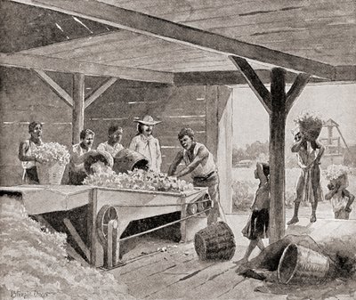 Slaves Working with a 19th Century Cotton Gin on a Plantation in a Southern State of the United States of America, from The History of Our Country, Published 1905 by J. (after) Steeple Davis