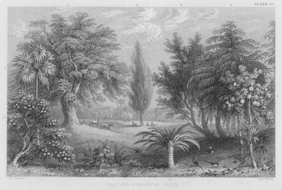 Fruit and Ornamental Trees by J. (after) Stewart