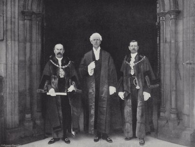 Presenting Petitions to the House of Commons by J. Benjamin Stone