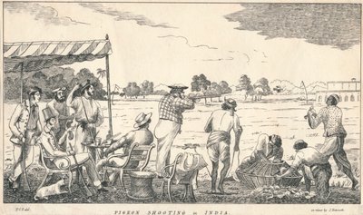 Pigeon Shooting in India, 19th century by J Bennett