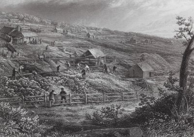 Australia: Concordia Gold Mines by J. C. Armytage
