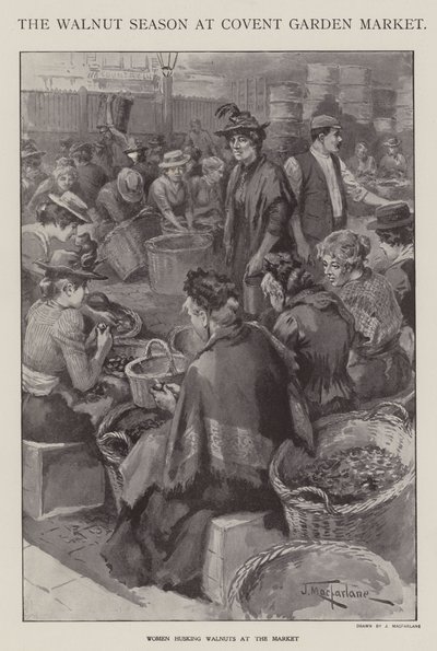 The Walnut Season at Covent Garden Market, London by J. Macfarlane