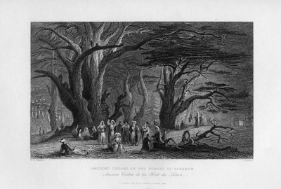 Ancient Cedars in the Forest of Lebanon, 1841 by J. Redaway