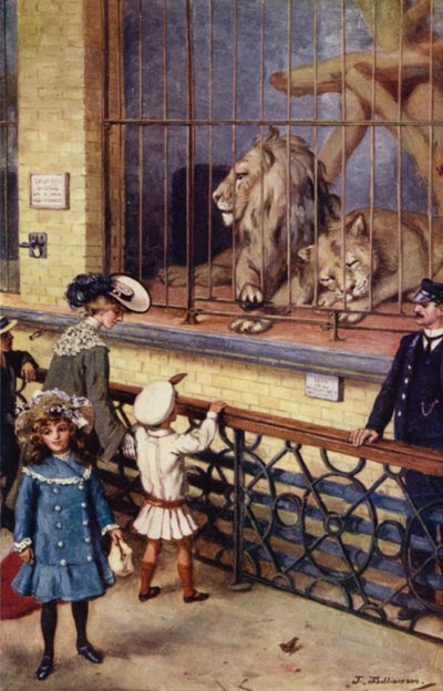 In the Lion House at the Zoo by J. Williamson