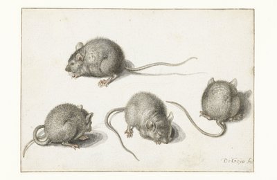 Four Studies of a Diseased Mouse by Jacob II de Gheyn