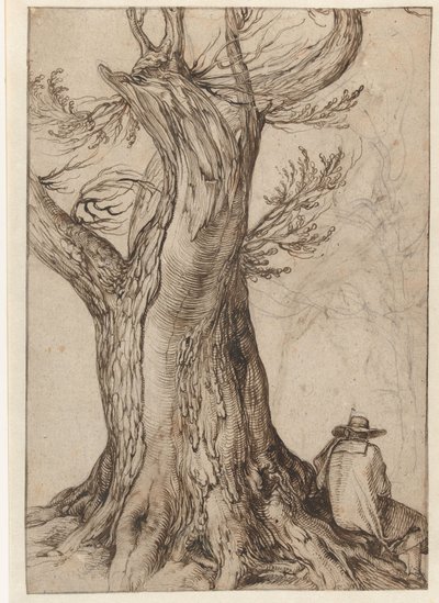 Study of a Tree Trunk by Jacob II de Gheyn