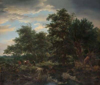 Forest Scene by Jacob van Ruisdael