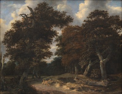 Road through an Oak Forest by Jacob van Ruisdael