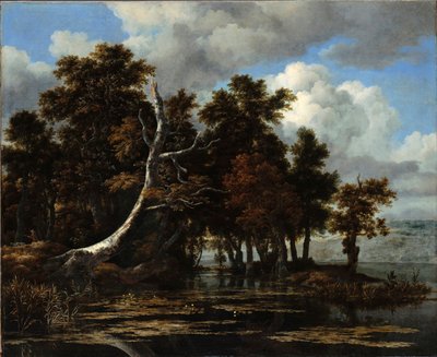 Oaks at a Lake with Water Lilies by Jacob van Ruisdael
