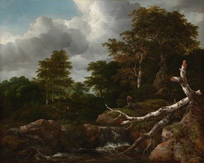 Forest Scene by Jacob van Ruisdael
