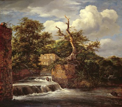 Unknown Image by Jacob van Ruisdael