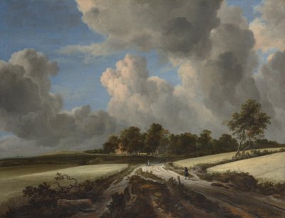 Wheat Fields by Jacob van Ruisdael