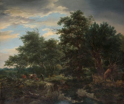 Forest Scene by Jacob Isaakszoon van Ruysdael