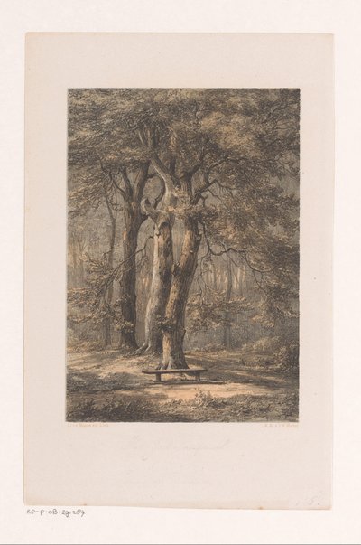 Jacoba Arbor by Jacob Jan van der Maaten