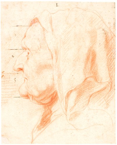 Head of an Old Woman, in Left Profile by Jacob Jordaens