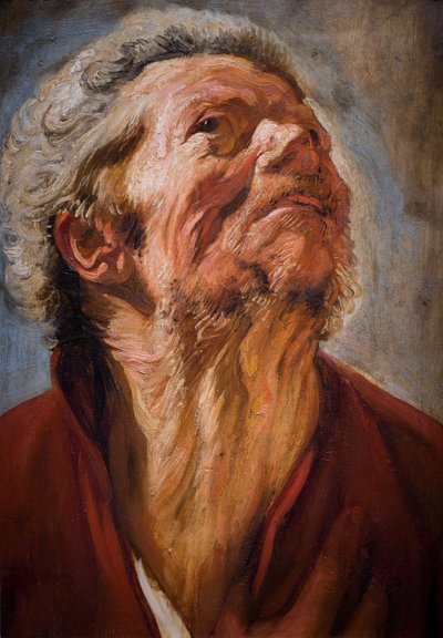 Study Head by Jacob Jordaens