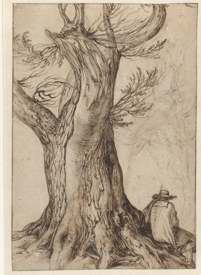 Study of a Tree Trunk by Jacob de Gheyn (II)