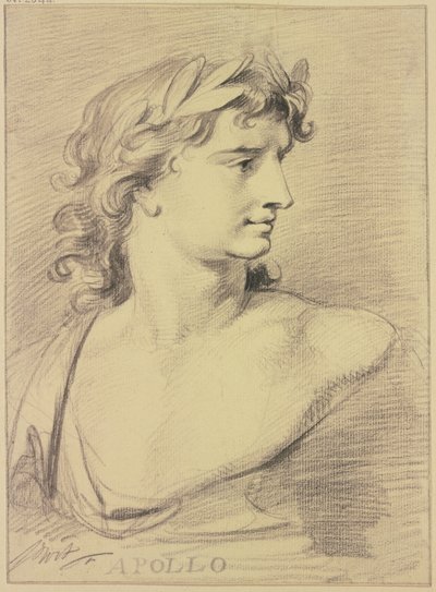 Bust of Apollo by Jacob de Wit