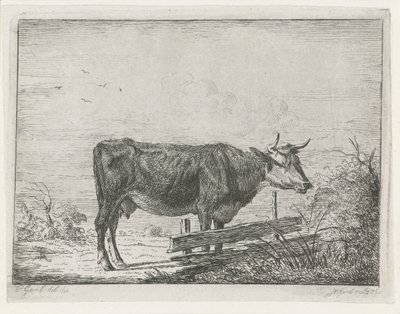 Cow Standing by a Fence by Jacobus Cornelis Gaal