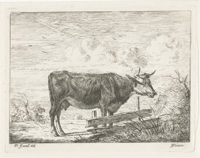 Cow Standing by a Fence by Jacobus Cornelis Gaal