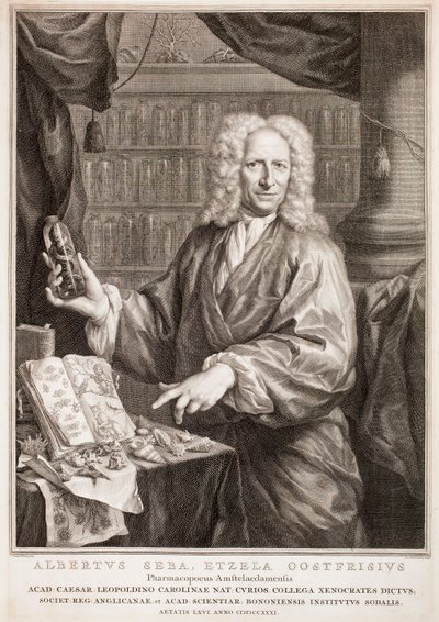 Portrait of Albertus Seba, after Jan Maurits Quinkhard by Jacobus Houbraken